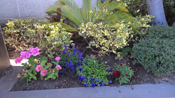 bouquet of flowers by target feb 2016