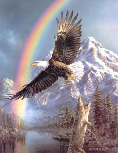 eagle and rainbow
