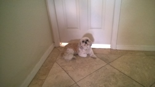 princess br door June 2016