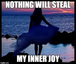nothing steal my joy meme