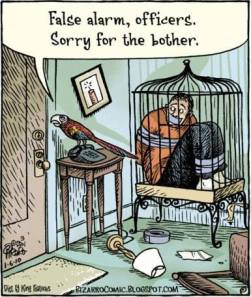 false alarm parrot