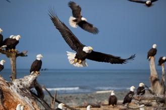 Taken in Homer Alaska