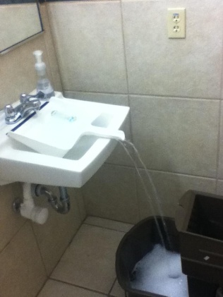 repurpose-dustpan-over-sink