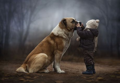 boy-with-big-dog-credit-elena-shumilova