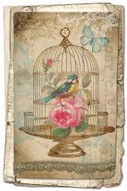 bird-cage