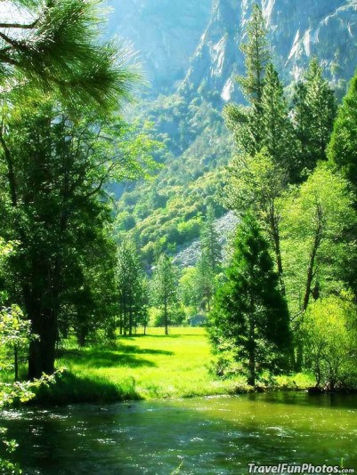 A Peaceful Meadow in Sequoia National Park, California – USA